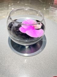 -新锦江大酒店·宴会厅·婚宴