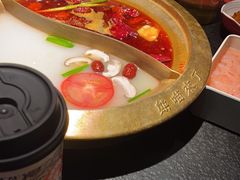 -熊喵来了火锅(太原里第2分店)