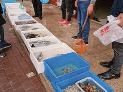 -盐通酒家(金桥湾清水苑店)