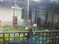 点击看大图 -爱儿美儿童摄影(朝阳公园店)