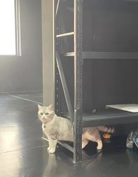 -我舞空间舞蹈培训