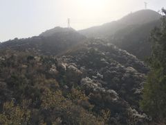 -北京鹫峰国家森林公园