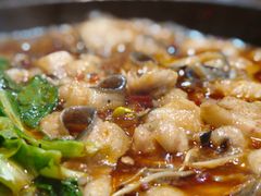 -都江堰石锅鱼