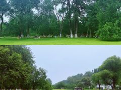 -御林古桑园