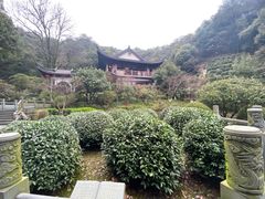 -十八棵（老龙井）御茶园(老龙井店)