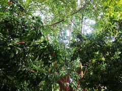 -嘉和K6温泉微度假