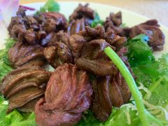 -九花山烤鸭店