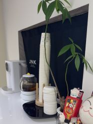 -JNK皮肤管理中心