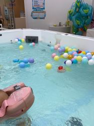 -爱婴室(上海浦建路店)