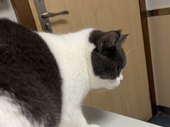 -宠颐生宠物医院外科·内科·皮肤科·影像科(石龙店)