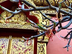 -西双版纳总佛寺