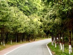 -少华山国家森林公园