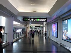 -厦门高崎国际机场-T3航站楼