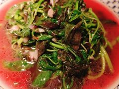 -凤凰湘语(浦东旗舰店)