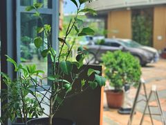 -隹木咖啡馆(宝龙广场店)