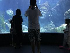 -暹罗海洋世界