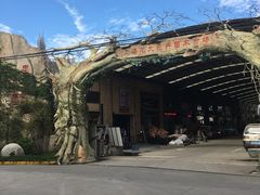 -龙大花卉苗木市场