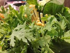 -哥老官重庆美蛙鱼头(宝山龙湖店)