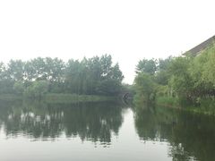 -溱湖国家湿地公园