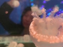 -多彩贵州城极地海洋世界