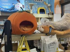 -pd派德宠物中心医院24H急重症·眼科中心·血液透析中心(嵩山北路店)