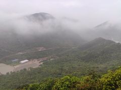-花岙岛