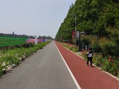 -上海长兴岛郊野公园