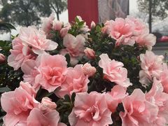-去吃小龙虾·江湖菜·烧烤(南滨路店)