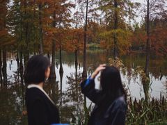 -白鹭湾湿地公园