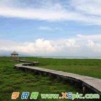 -薇兰专业脱毛连锁机构