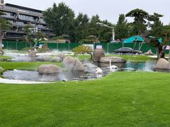 -罗红摄影艺术馆