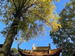 -狼山风景名胜区