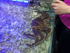 -御唐府海珊瑚主题餐厅