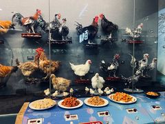 -昆明动物博物馆