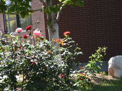 -中关村生命科学园