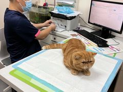 -联合动物医院(光谷诊疗中心)