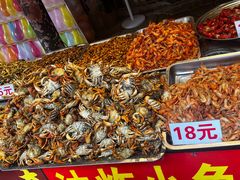 -黄龙溪古镇