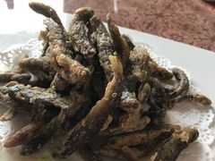 -大笮风(体育馆总店)