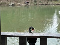 -天目湖涵田度假村