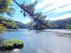 -庐山风景区花径公园