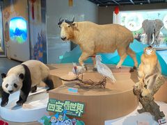 -陕西自然博物馆