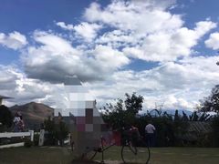 -黄色小屋