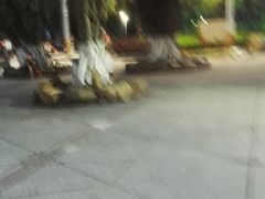 -金砂公园