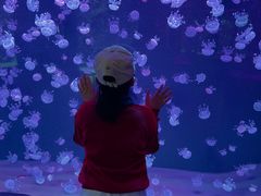 -石家庄极地海洋世界