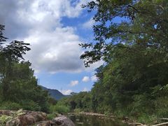 -北仑森林植物园