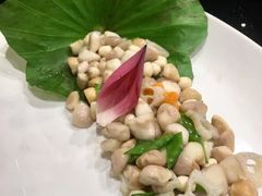 -十八棵（老龙井）御茶园(老龙井店)