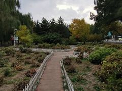 -满都海公园