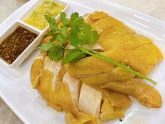 -巫记鸡饭店