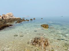-养马岛旅游度假区