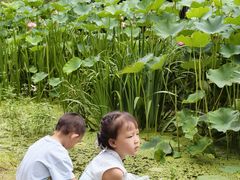 -沐仙湖湿地公园